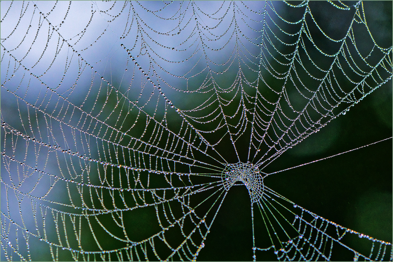 Der Morgennebel zog vorbei