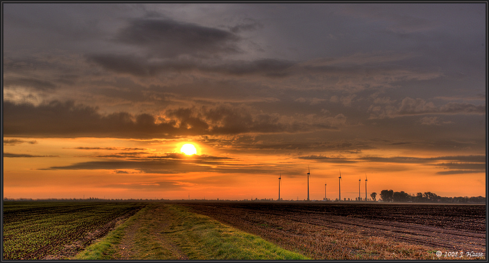 ... Der Morgensonne entgegen ...