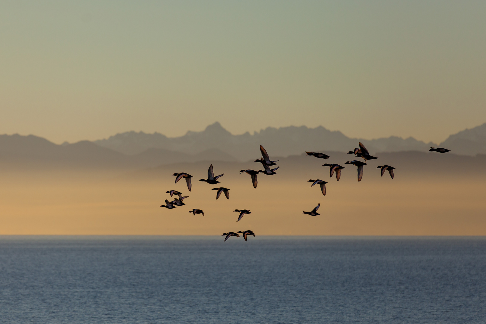 Der Morgensonne entgegen