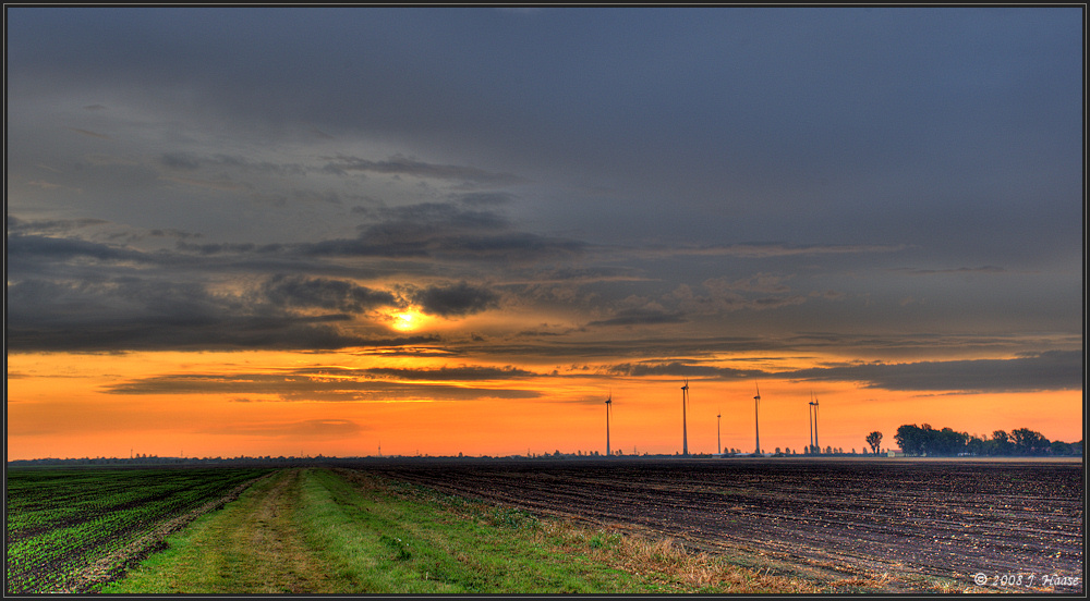 ... Der Morgensonne entgegen II ...