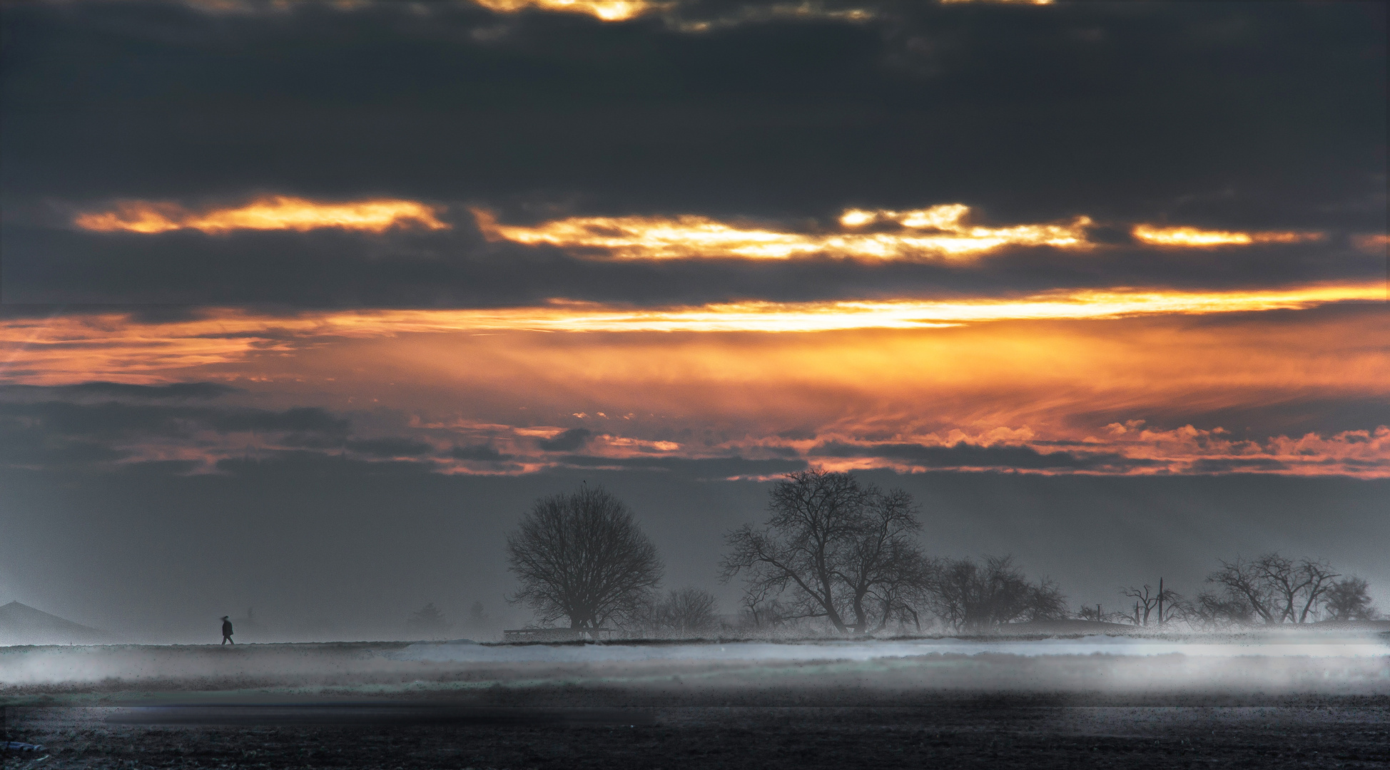 Der Morgenspatziergang