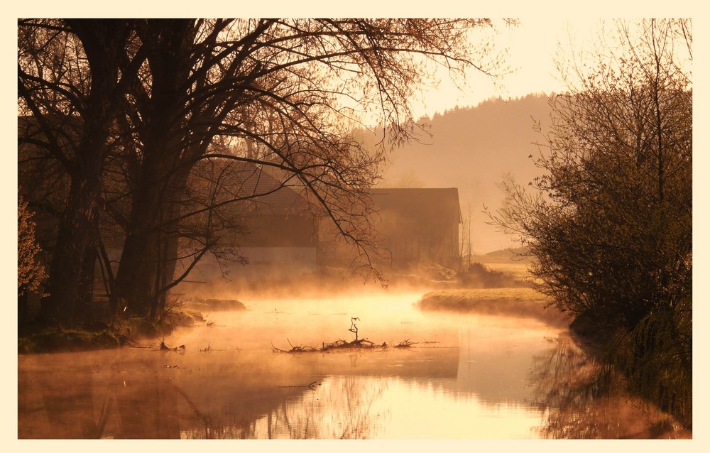 der Morgenspaziergang...