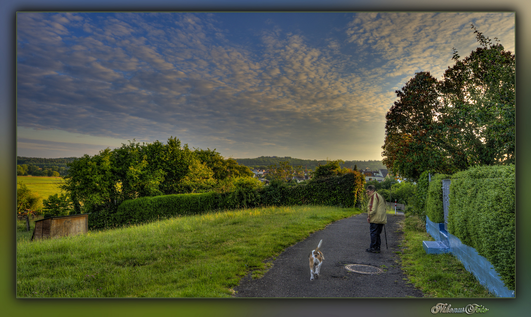  der Morgenspaziergang 