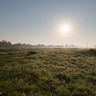 Der morgentliche Nebel löst sich langsam auf