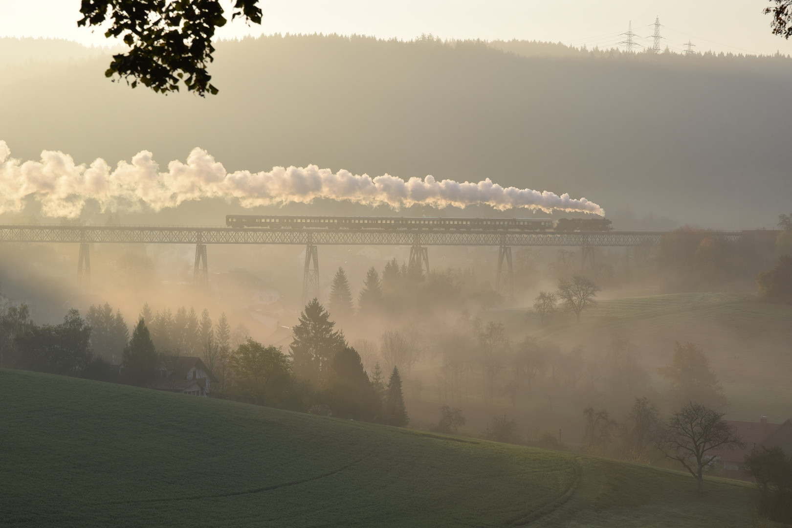 Der Morgenzug