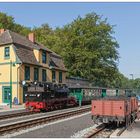 Der Morgenzug aus Putbus bei Einfahrt in den Bahnhof Göhren