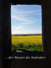 Der Mozart des Kalenders...