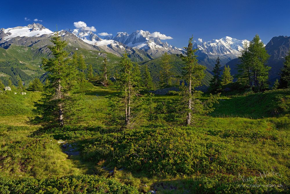 Der Mt. Blanc und seine Zinnen