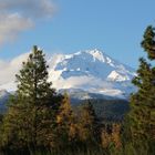 Der Mt. Shasta....