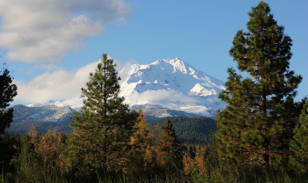 Der Mt. Shasta....