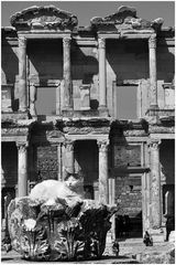 Der müde Wächter von Ephesus
