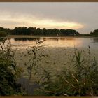 Der Müggelsee