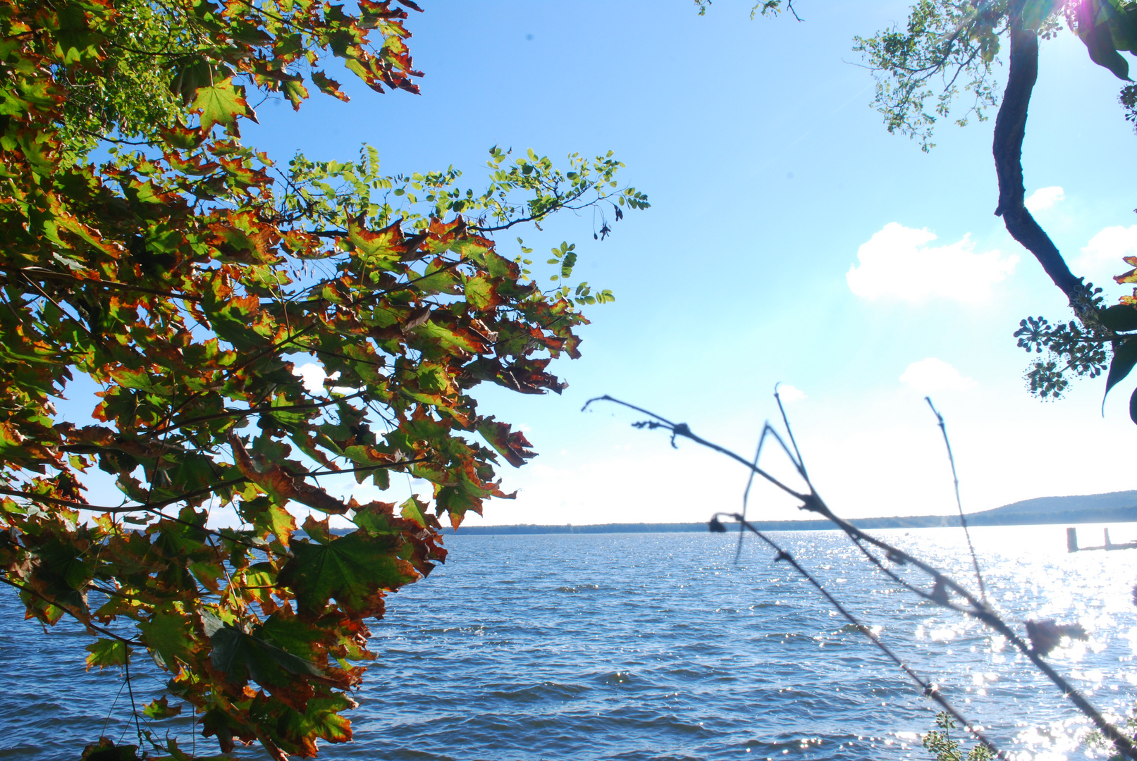 Der Müggelsee in Friedrichshagen