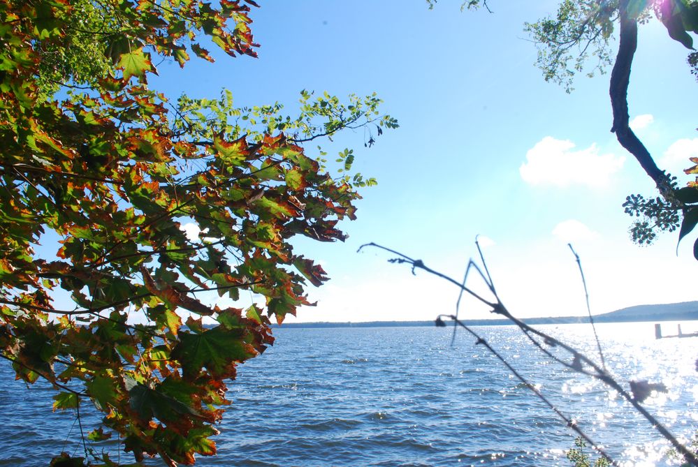 Der Müggelsee in Friedrichshagen