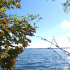 Der Müggelsee in Friedrichshagen