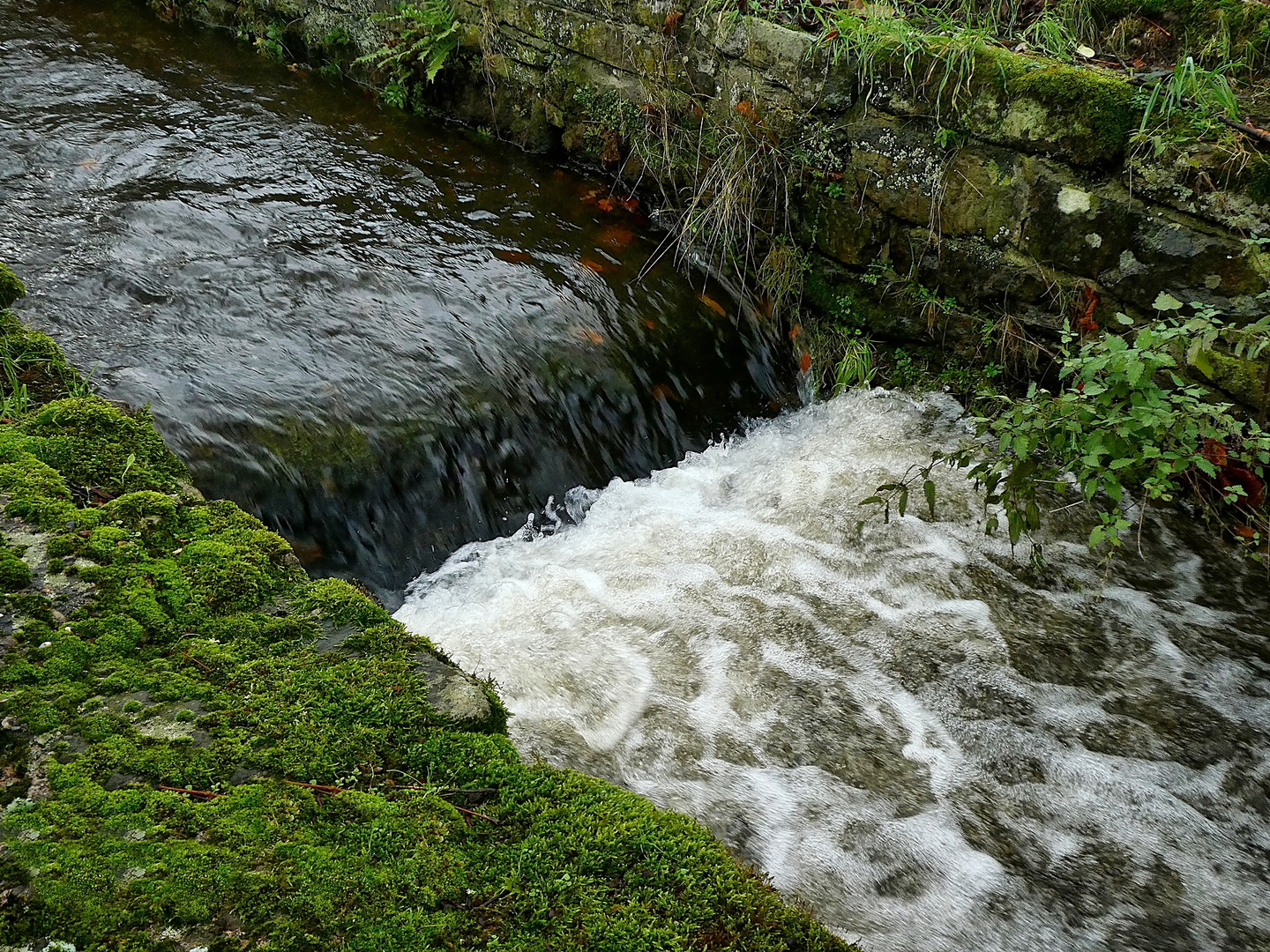 Der Mühlbach hat viel Wasser