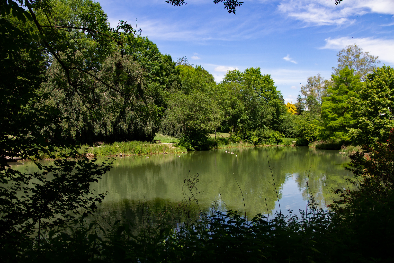 Der Mühlenteich Foto & Bild landschaft, garten & parklandschaften