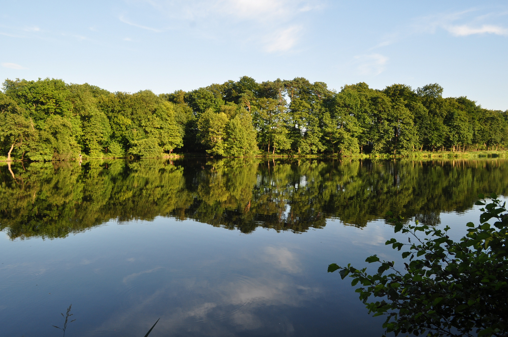 Der Mühlenteich