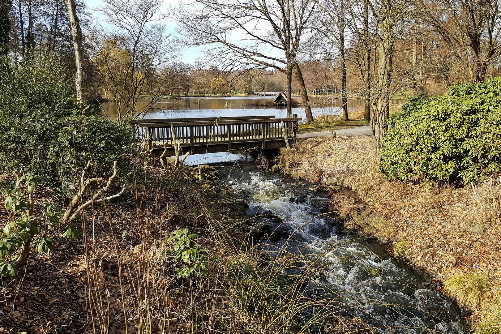 Der Mühlenteich Foto & Bild landschaft, bach, fluss & see, lüneburger