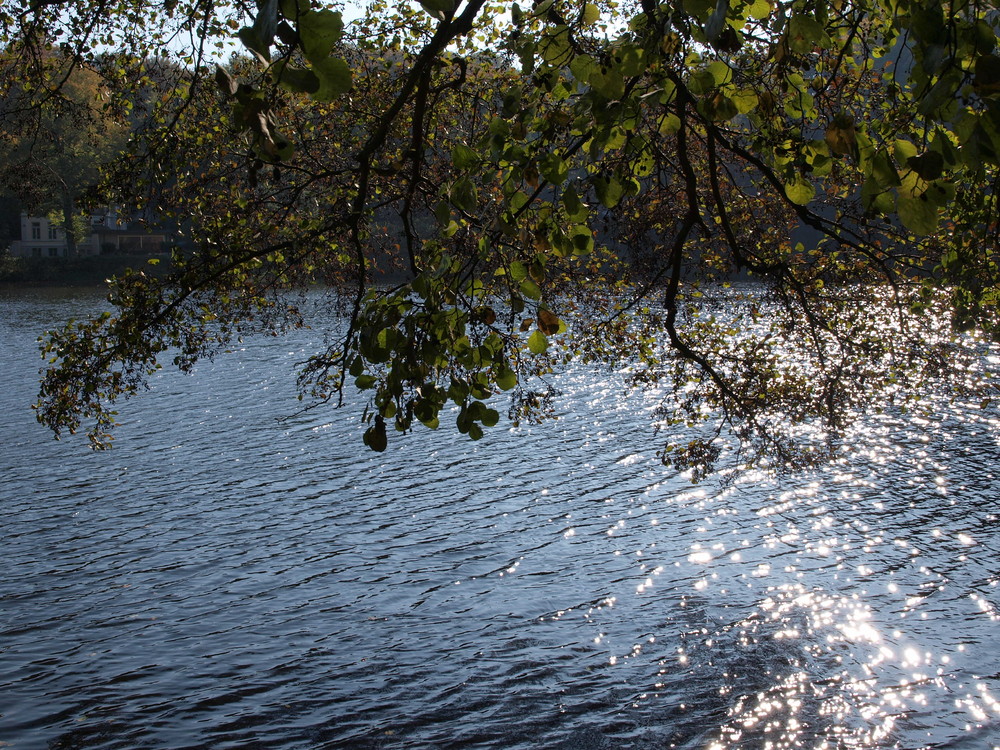 Der Mühlenteich im Glitzer