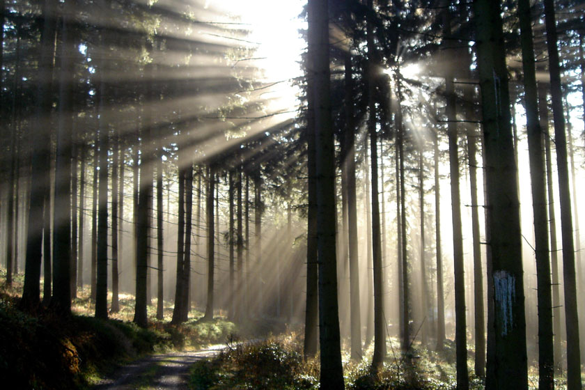 Der mühsame Kampf der Sonne