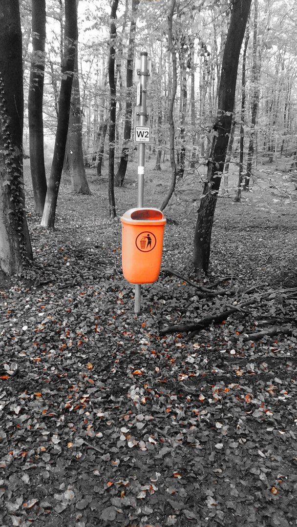 Der Mülleimer im Wald