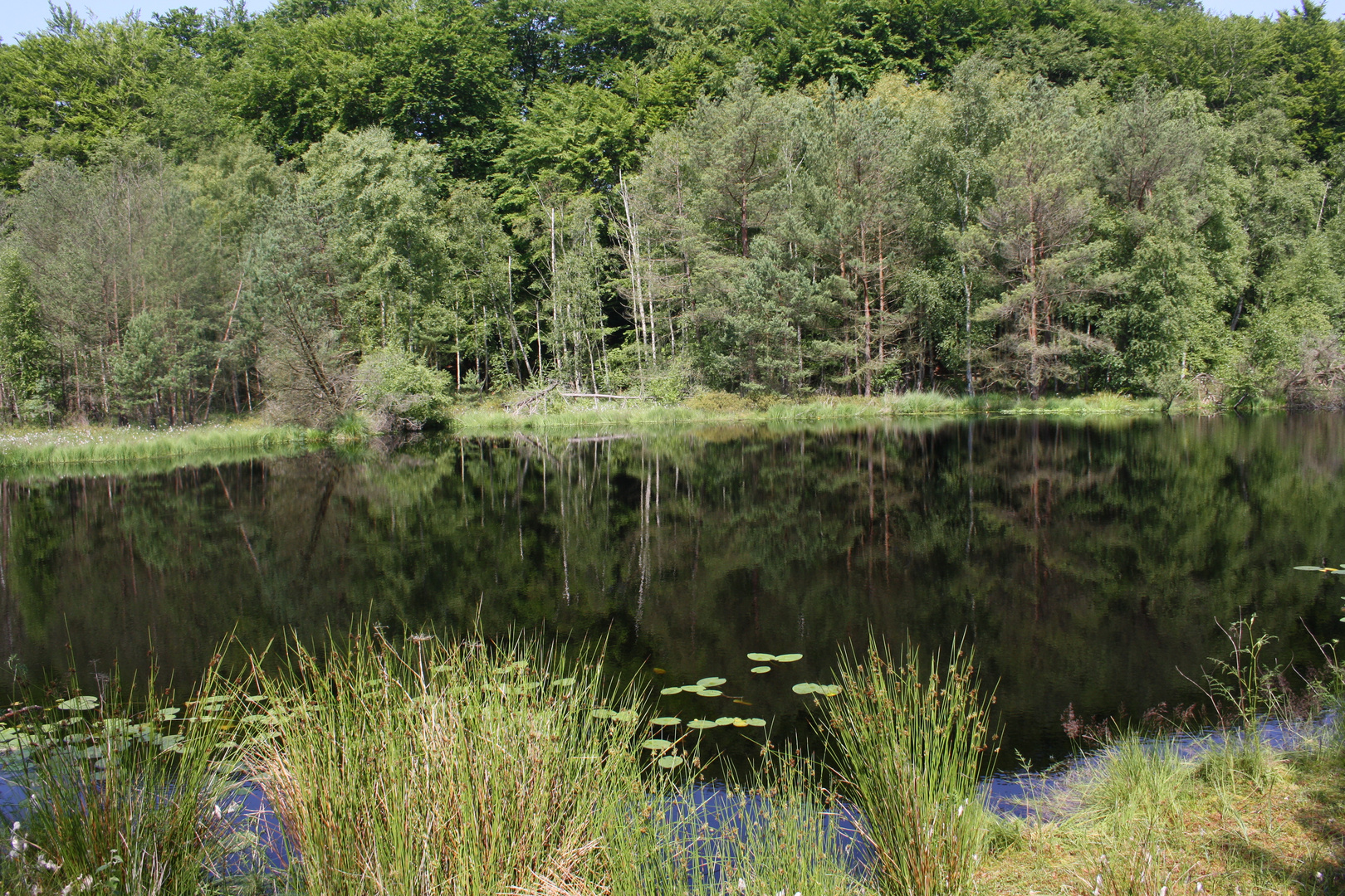 Der Mümmelkensee in Bansin