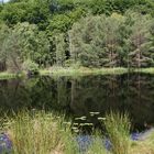 Der Mümmelkensee in Bansin