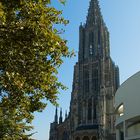 Der Münster von Ulm