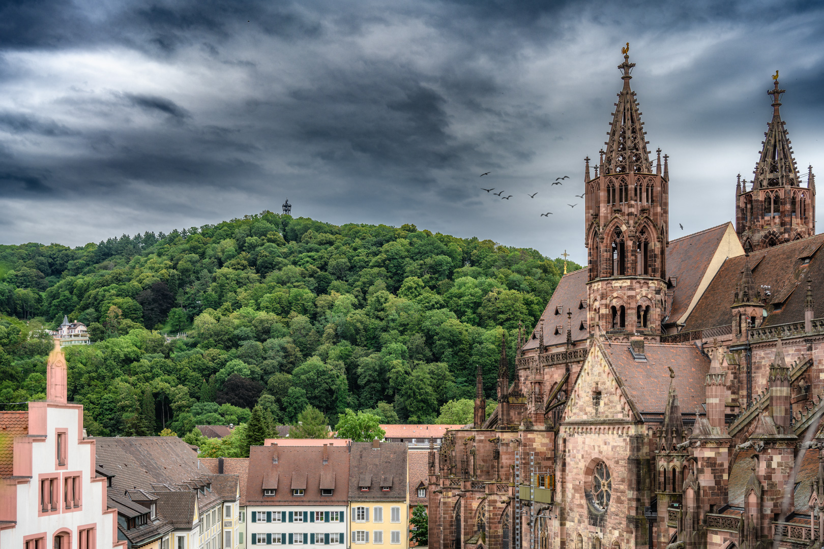 Der Münsterplatz in Freiburg