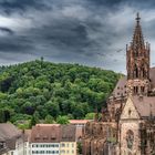 Der Münsterplatz in Freiburg