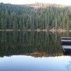 Der Mummelsee