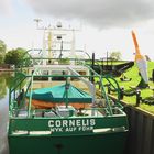 Der Muschelfischer  Cornelis / WYK  AUF  FÖHR im Hafen von Hooksiel