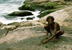 Der Muschelsammler. Kerala