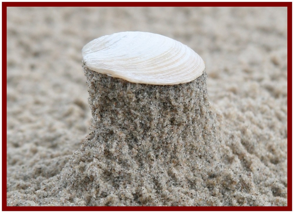 Der Muschelturm - Dem Sturm getrotzt.....