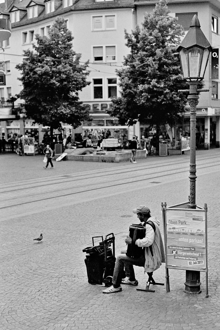 Der Musiker und sein Publikum 