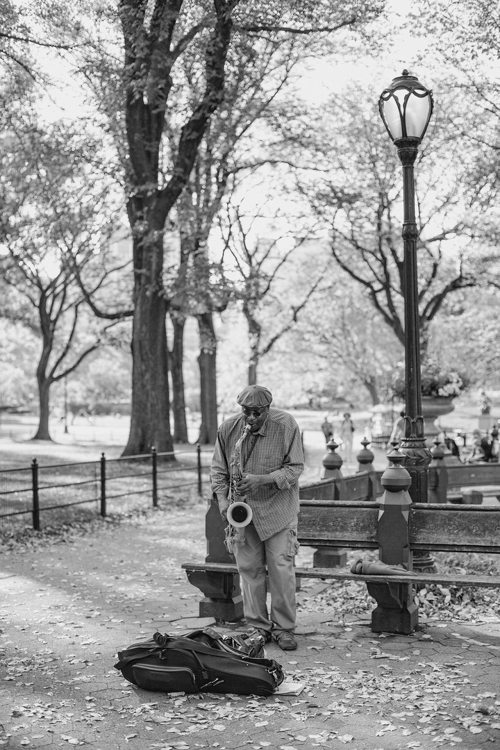 Der Musiker vom Central Park