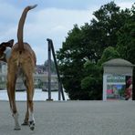 Der nach dem Wind-Dreher