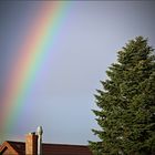 Der Nachbar, sein Baum und sein Regenbogen