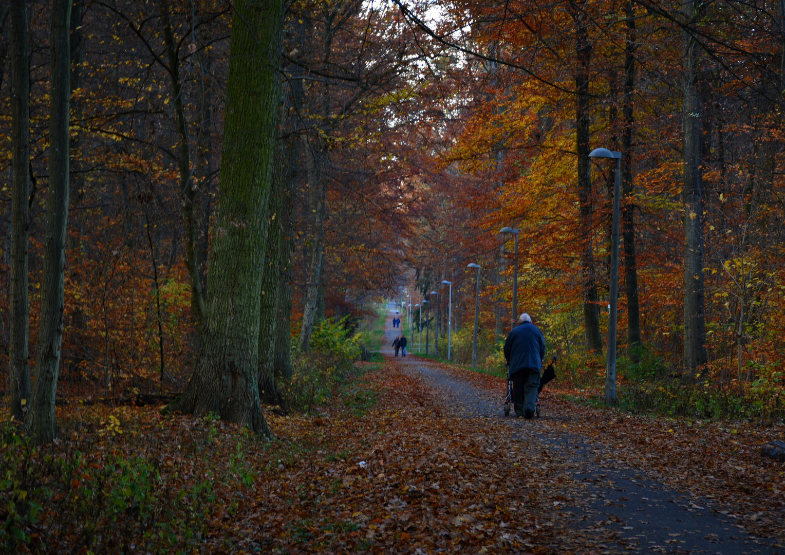 Der Nachhauseweg