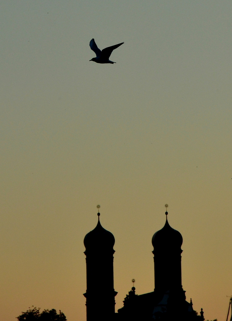 Der nacht Flug