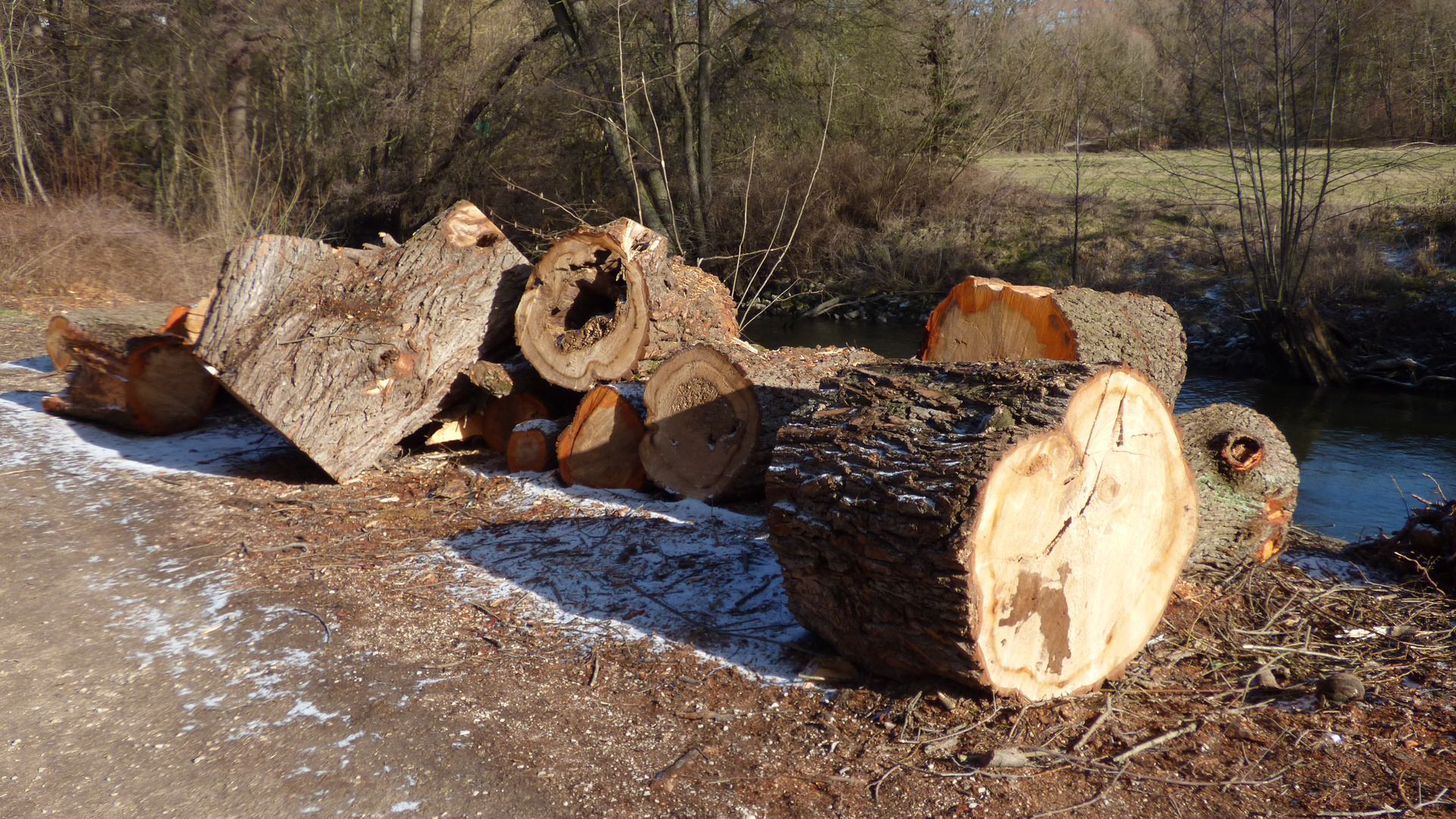 der nächste Foto & Bild jahreszeiten, winter, bäume Bilder auf