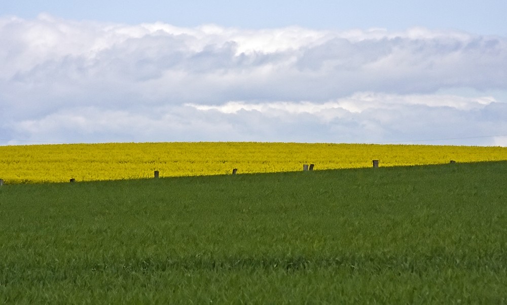 Der nächste Frühling....