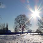 Der nächste Frühling ...