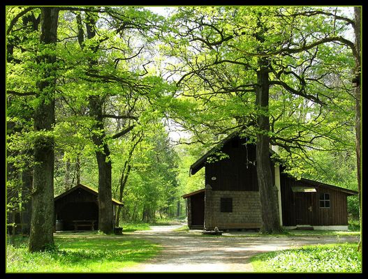 Der nächste Frühling kommt bestimmt