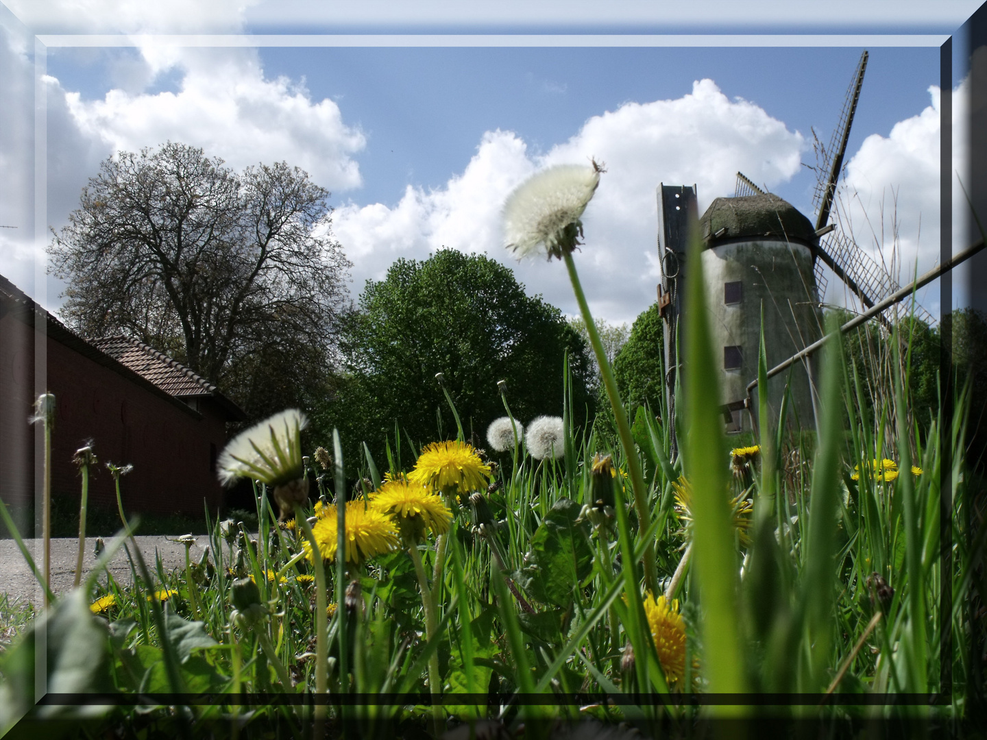 Der nächste Frühling kommt bestimmt