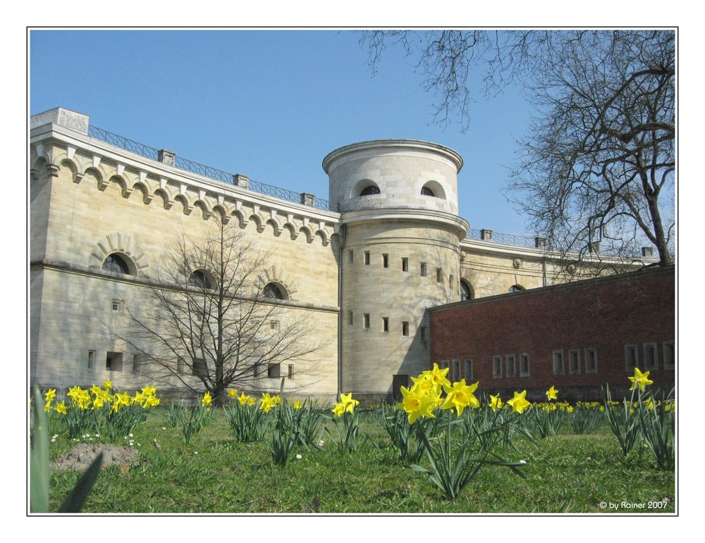 Der nächste Frühling kommt bestimmt :-)