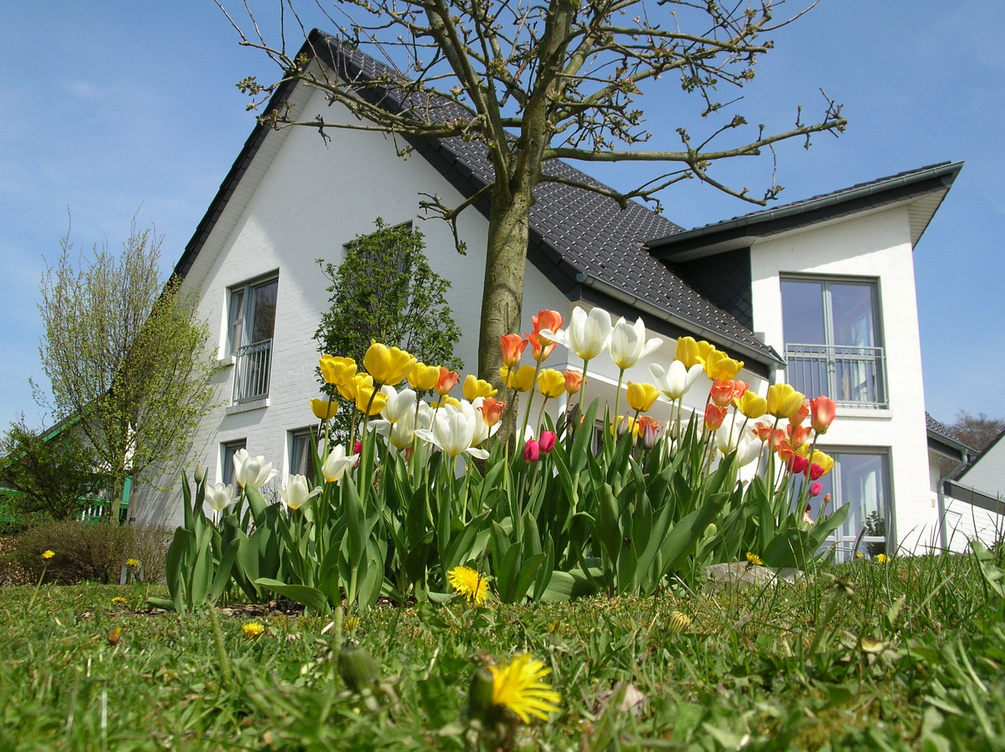 ..der nächste Frühling kommt bestimmt!