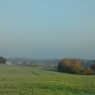 Der nächste Frühling kommt bestimmt