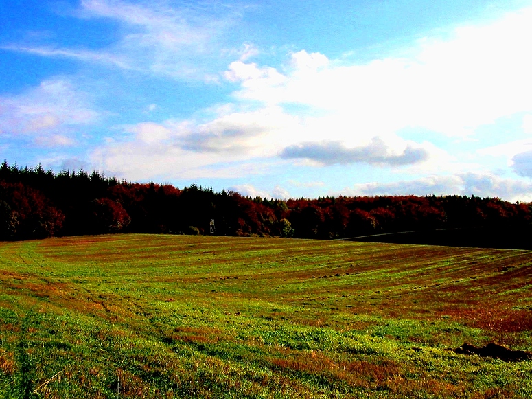 Der nächste Herbst kommt bestimmt 01